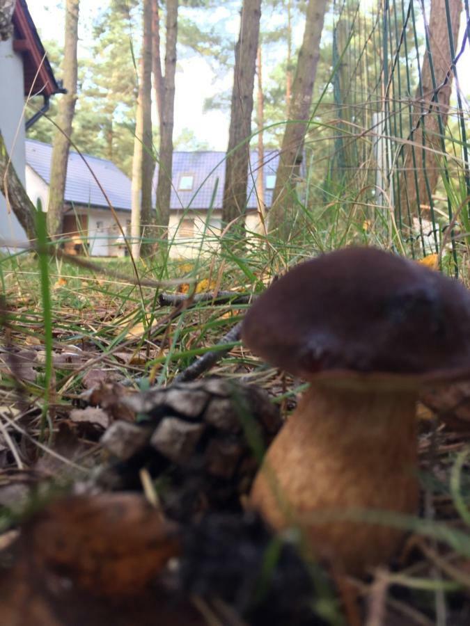 Domek Na Lesnej Pogorzelica  Luaran gambar